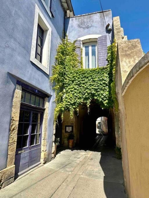 Lou Paseo : Appartement Brocante Centre Historique LʼIsle-sur-la-Sorgue Exteriör bild